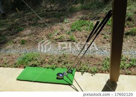 Mountain garden, flower garden, 17602120
