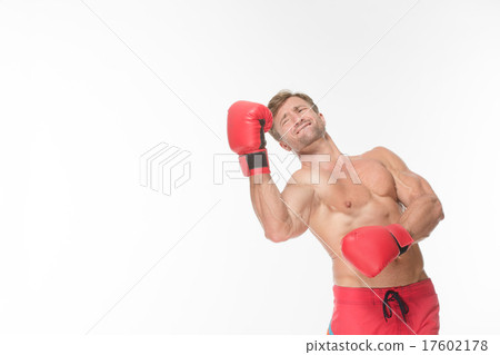Boxer fighter in red boxing gloves Boxer fighter in red boxing gloves 17602178