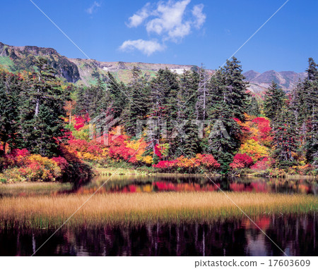 Autumn leaves of Taisetsu Takahara swamp lake 17603609
