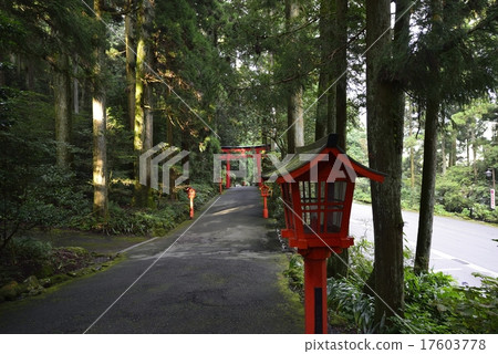 Hakone Shrine The 3rd Torii and approaching path Hakone Shrine The 3rd Torii and approaching path 17603778