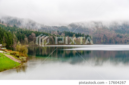 Alpsee lake in Hohenschwangau - Bavaria, Germany 17604267