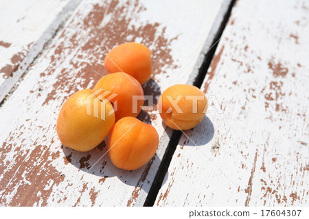 Apricots Under Sun 17604307