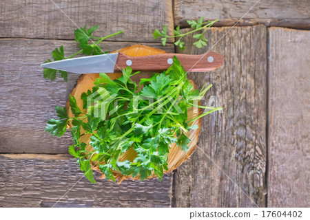 fresh parsley fresh parsley 17604402