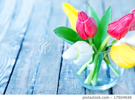 tulips tulips 17604686