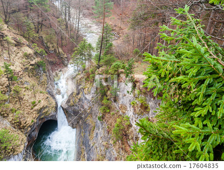 Pollat Gorge as seen from Marie Bridge - Bavaria Pollat Gorge as seen from Marie Bridge - Bavaria 17604835