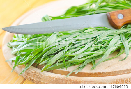 tarragon tarragon 17604963