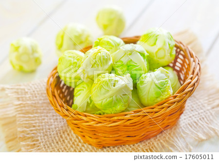 brussel cabbage 17605011