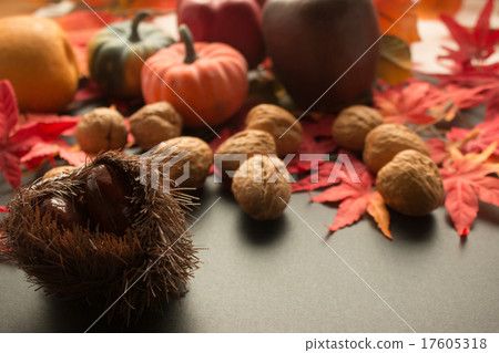 Chestnut and walnuts of ornament and autumn leaves and other autumn image 17605318
