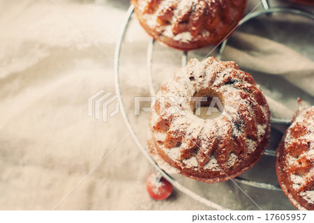 Small Baked Cakes Dusted with Icing Sugar 17605957