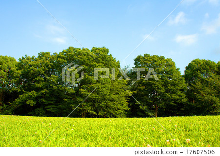 Green park 17607506