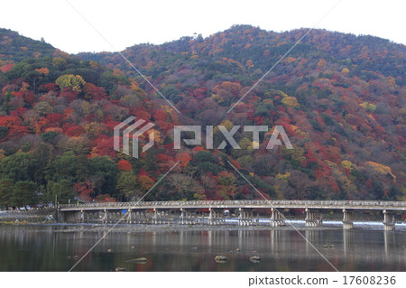 Katsuragawa and Arashiyama in early morning and autumn Katsuragawa and Arashiyama in early morning and autumn 17608236
