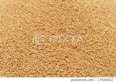 amaranth seeds 17608602