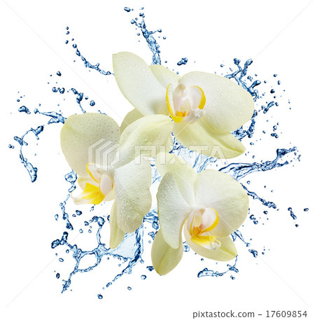 blue water splash isolated 17609854