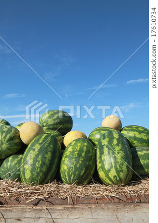 Farmers market, watermelon Farmers market, watermelon 17610734