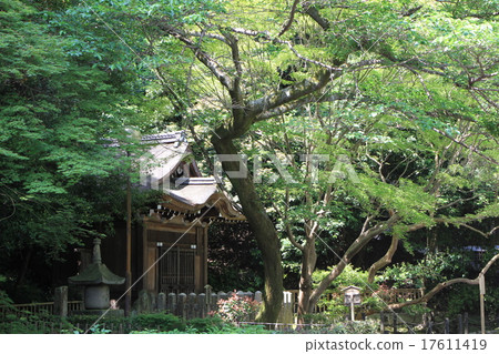 Senglai寺 Senglai寺 17611419