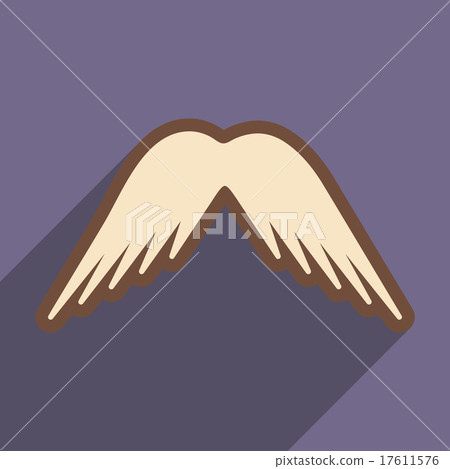 stylish wings of an eagle stylish wings of an eagle 17611576