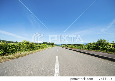 one road one road 17611993