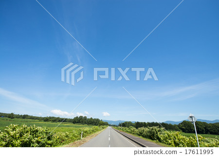 one road  17611995