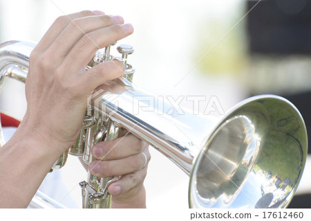 Summer concert Summer concert 17612460