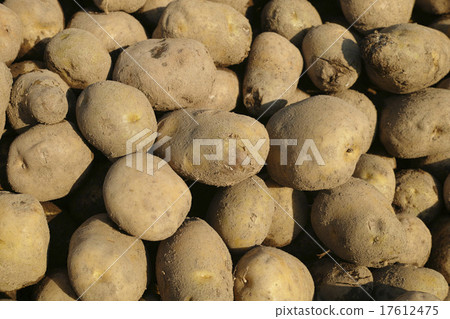 馬鈴薯鉀 17612475