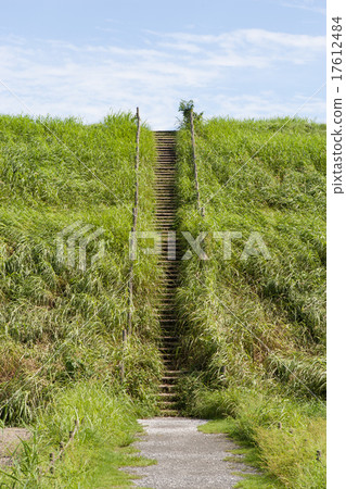 Summer tomb 17612484