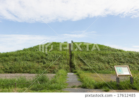 Summer tomb 17612485