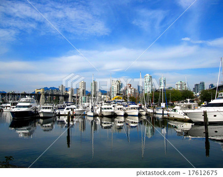 Yotto Harbor  17612675