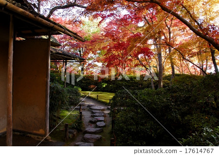 The autumnal leaves of the Kyoto Okochi Sanso garden The autumnal leaves of the Kyoto Okochi Sanso garden 17614767