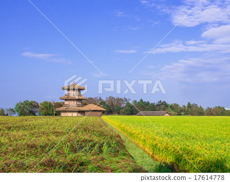 Talari castle and fruit in the blue sky 17614778