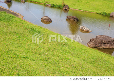 Green on the waterside 17614860