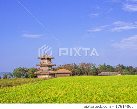 Talari castle and fruit in the blue sky 17614863
