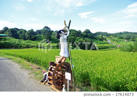 Inabuchi的稻田和稻垣 17614873