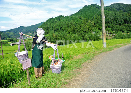 Inabuchi的稻田和稻垣 17614874