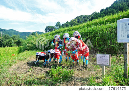 Inabuchi的稻田和稻垣 17614875