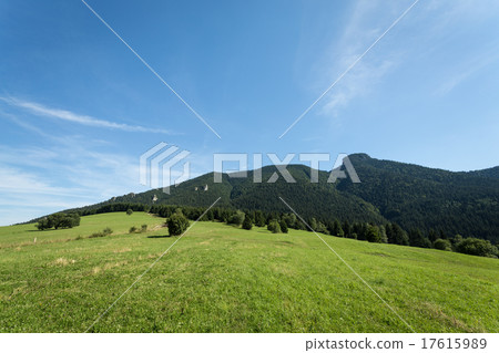 mountain meadows and pastures in Slovakia 17615989
