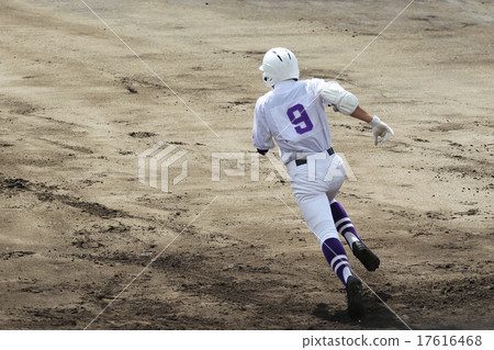 Baseball Baseball 17616468