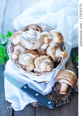 mushrooms mushrooms 17616579