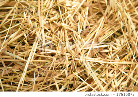Hay straw in the field Hay straw in the field 17616872