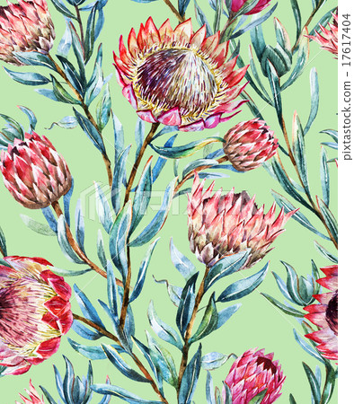 Watercolor tropical protea pattern Watercolor tropical protea pattern 17617404