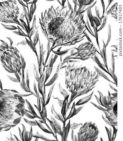 Watercolor tropical protea pattern Watercolor tropical protea pattern 17617405