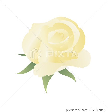 Floral background with yellow rose. 17617840