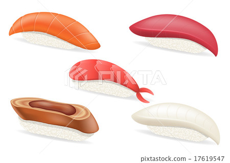 set raw japanese sushi vector illustration 17619547