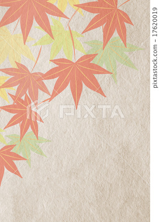 Autumn leaves Autumn leaves 17620019