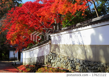 古都奈良東大寺秋葉 17621122