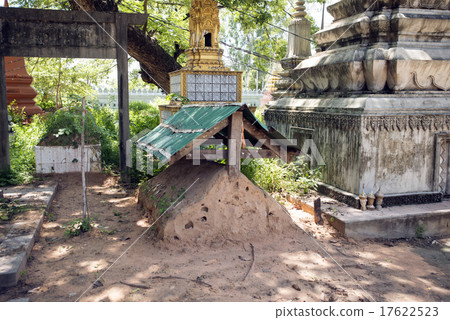 柬埔寨暹粒Wat Bo 17622523