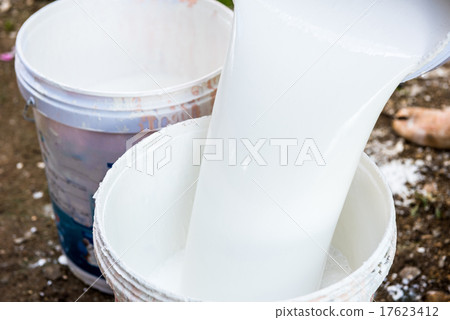 labor pouring white paint from a bucket 17623412