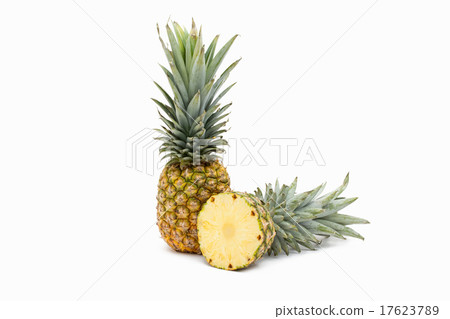 pineapple  17623789