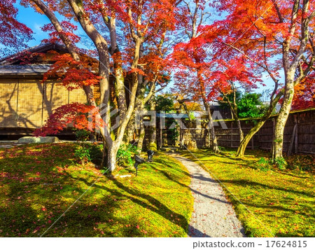 Jokoin Shishon garden Jokoin Shishon garden 17624815