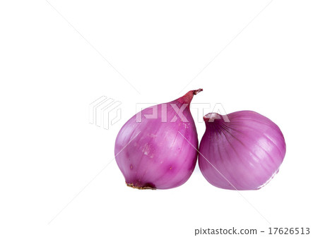 red onion red onion 17626513