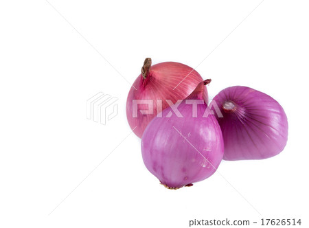 red onion red onion 17626514